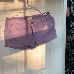 Lavender Shorts